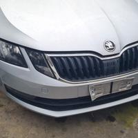 Muso completo Skoda Octavia