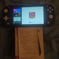 Nintendo switch lite