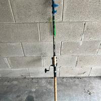 Canna da pesca con mulinello