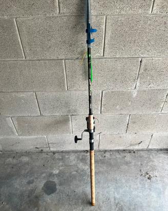 Canna da pesca con mulinello