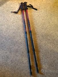 Bastoncini trekking Gipron Explorer