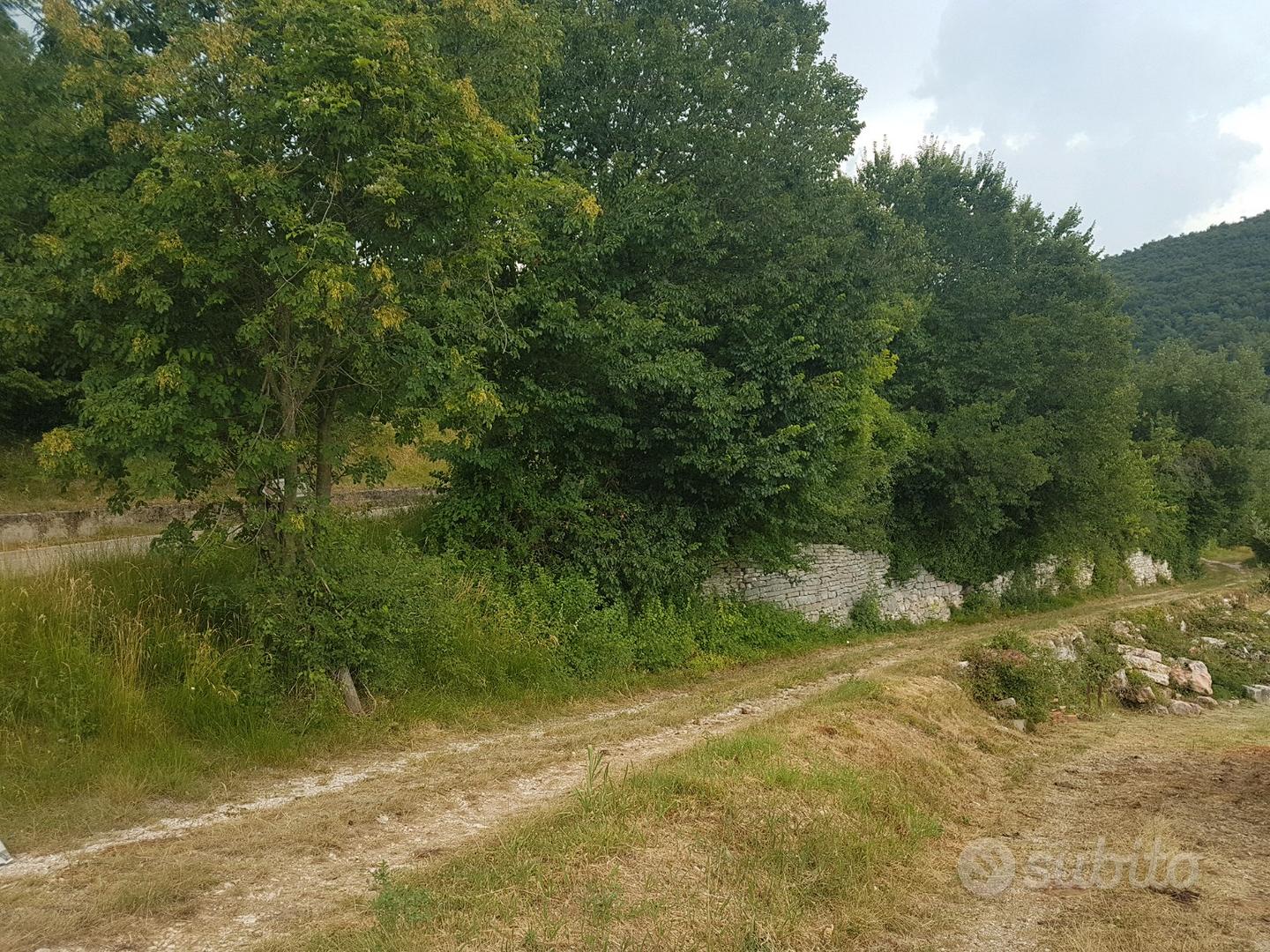 Terreno agricolo - Vista 2