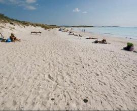 Monolocale a Vada a 500 metri dalla spiaggia