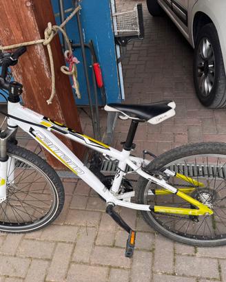 MTB 24 Carraro
