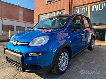 FIAT PANDA 1.0 benzina/ibrida Blu Italia KM 0