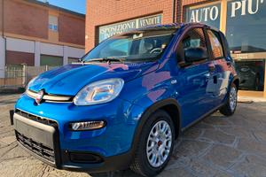 FIAT PANDA 1.0 benzina/ibrida Blu Italia KM 0