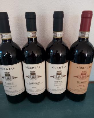 Barolo vino rosso Langhe Piemonte