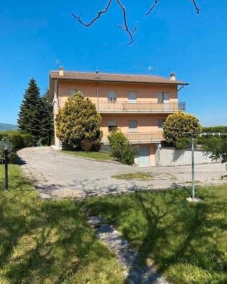 CC 716/2023 - Tribunale di Urbino
