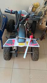 Mini Quad