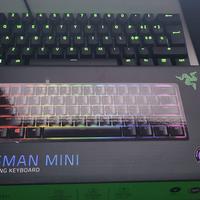 Razer Huntsman mini