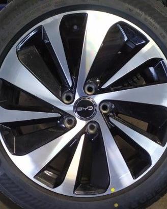 Cerhi in lega BYD seal