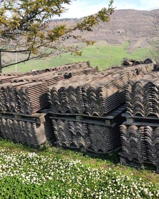 Tegole