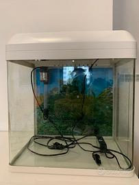 Acquario