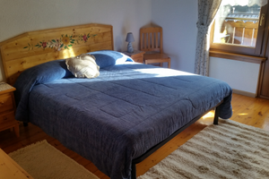 Vacanze natalizie + olimpiadi