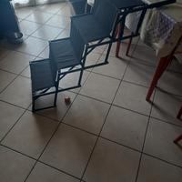 scaletta x cani