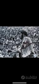 Foto autografata Woodstock ‘69
