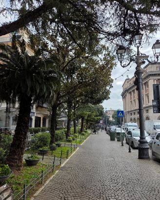 Attività Commerciale