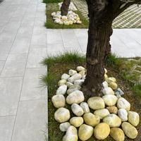 Sassi grandi bianchi  da giardino