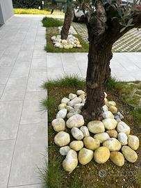 Sassi grandi bianchi  da giardino