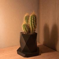 Vaso geometrico design in PETG  - personalizzabile