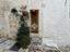 Immagine 26