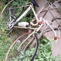 Bici Vintage AQUILA TOURISTE