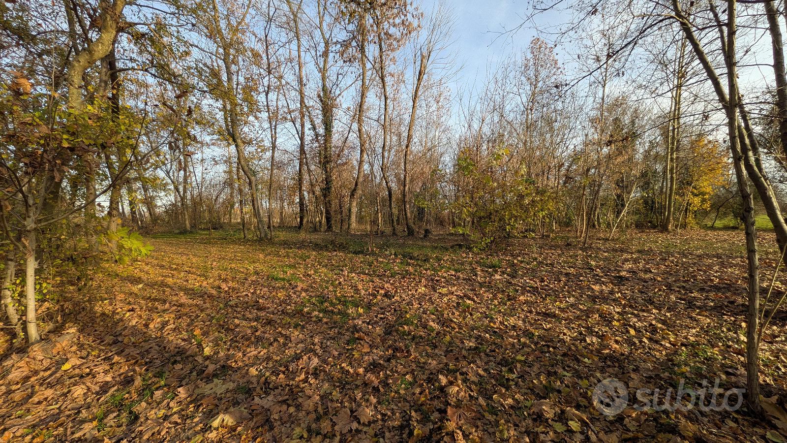 Terreno agricolo - Bannia di Fiume Veneto (PN) - Vista 4