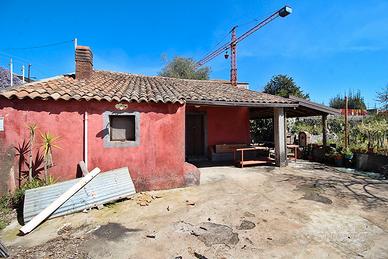 Parlmento originale terreno a vigneto a Viagrande