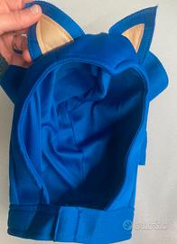 costume carnevale sonic