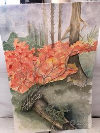 Quadri Acquerelli senza cornice MARE+MONTAGNE