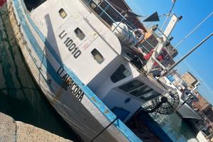 Barca da piccola pesca