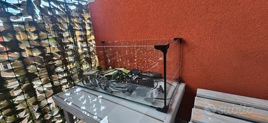 tartarughiera/ acquario 