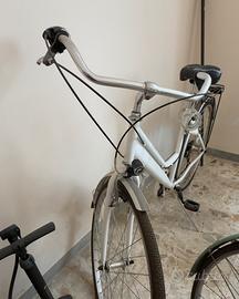Bici da città