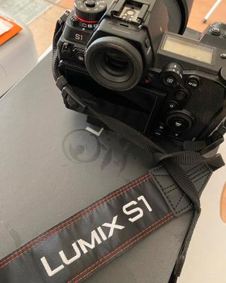Lumix s1