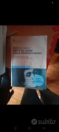 Manuale breve diritto del lavoro e previdenza soci