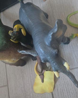 animali della foresta,acquatici, dinosauri e inset