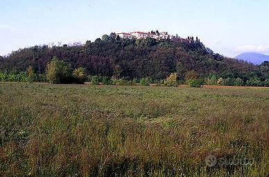 Elegante Porzione di Bifamiliare nel Verde di Aban