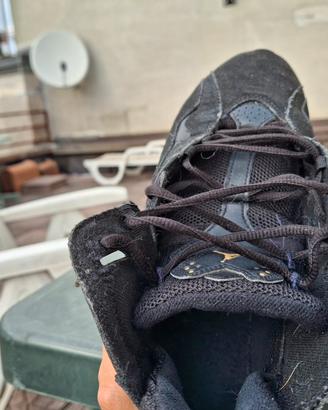 Air Jordan true flight