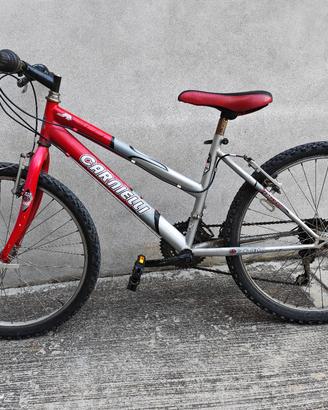 bici 24 pollici