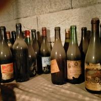 Vecchie bottiglie di vino 