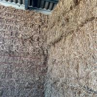 Avena e loietto in balloni prismatici