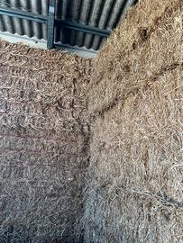 Avena e loietto in balloni prismatici