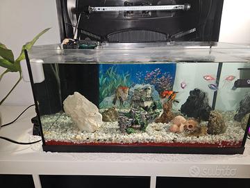 ACQUARIO "TETRA STERTER LINE LED DA 54 LITRI"