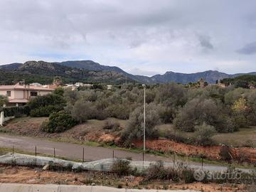 Poggio dei pini terreno 2000 mq