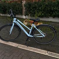 Adriatica 2023, bianca/ azzurra