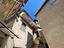 Immagine 21