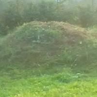 terra per giardino e lavori vari