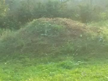 terra per giardino e lavori vari