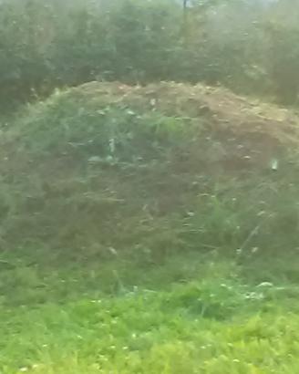 terra per giardino e lavori vari