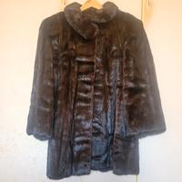 Visone Annabella Pavia